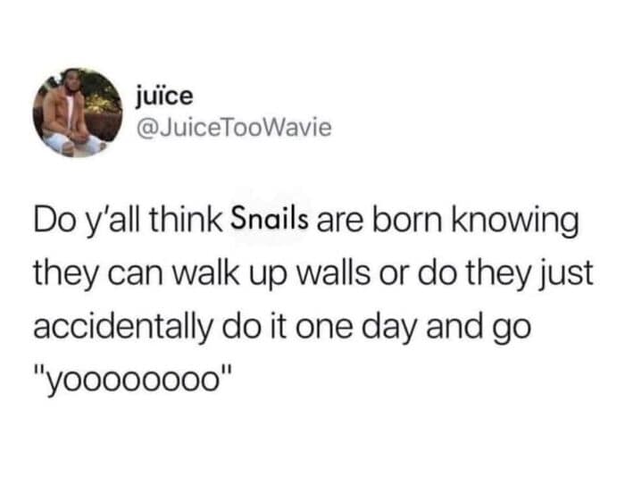 meme dump, hilarious memes, weekly memes, Sunday meme madness, laugh break memes, meme collection, meme roundup, meme bonanza