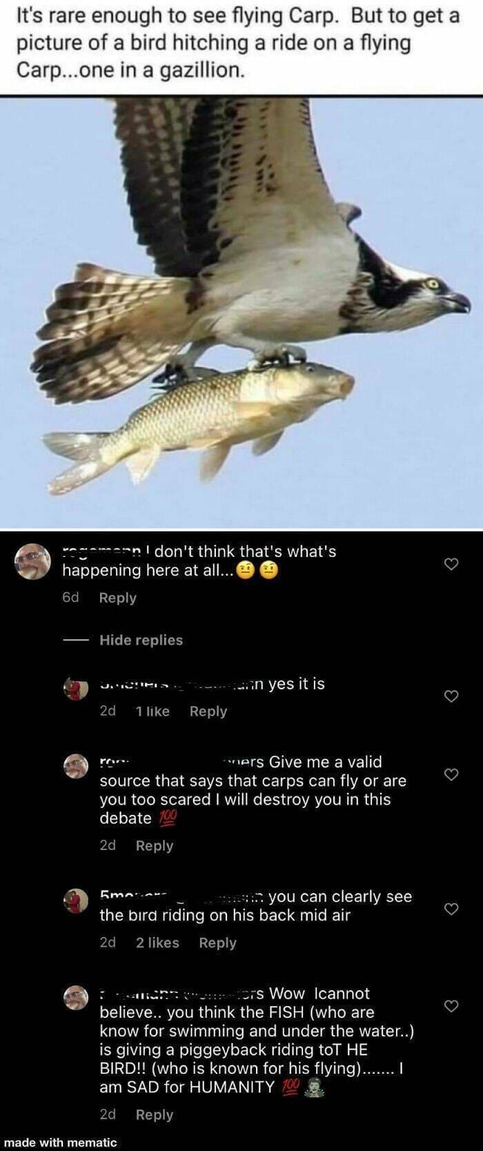 missed the joke, Misinterpretation Humor, Literal Interpretation Memes, Cringe-worthy Misunderstandings