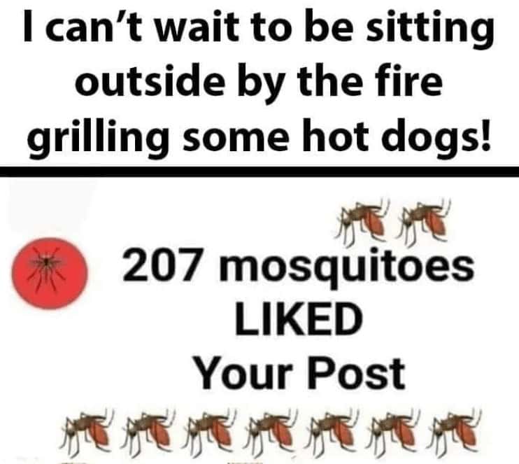 nature memes, outdoor memes, Hiking Memes, Funny Outdoor Content, Hilarious Camping Stories, Amusing Hiking Fails, Wilderness Humor, Backcountry Jokes, Forest Funnies