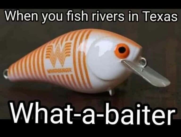 nature memes, outdoor memes, Hiking Memes, Funny Outdoor Content, Hilarious Camping Stories, Amusing Hiking Fails, Wilderness Humor, Backcountry Jokes, Forest Funnies