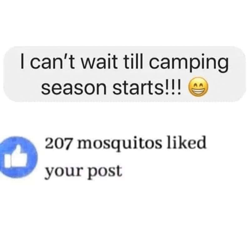nature memes, outdoor memes, Hiking Memes, Funny Outdoor Content, Hilarious Camping Stories, Amusing Hiking Fails, Wilderness Humor, Backcountry Jokes, Forest Funnies