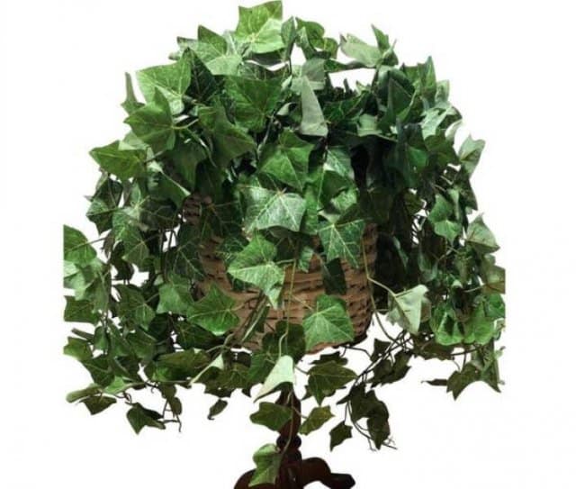 nostalgia pics, nostalgic images, 1990s memories, retro photos, 90s memories, 1990s nostalgia, nostalgic photos, nostalgic pictures, vintage photos, retro images