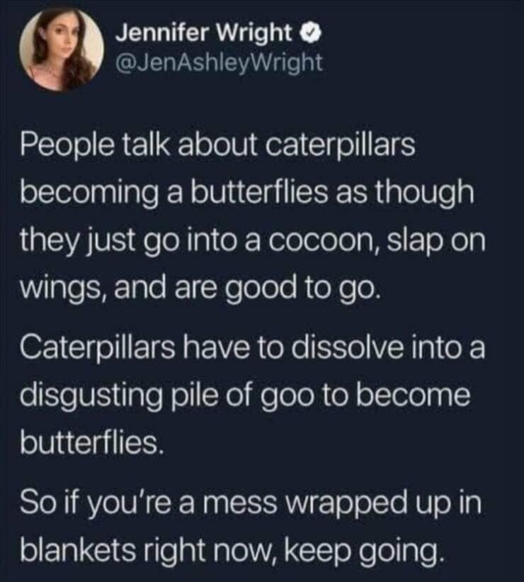 People talk about caterpillars becoming a butterflies as though they just go into a cocoon, slap on wings, and are good to go. Caterpillars have to dissolve into a disgusting pile of goo to become butterflies.