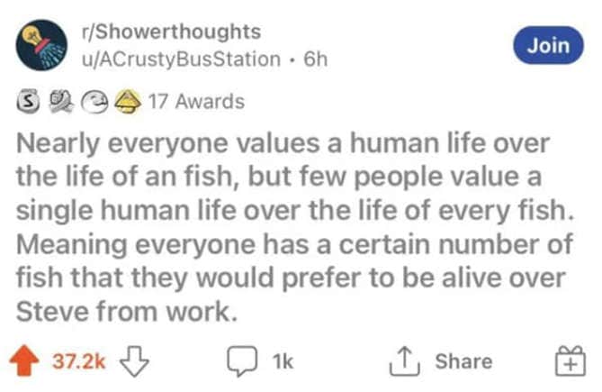 oddly specific posts.