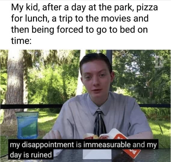 parenting memes. My kid, after a day at the park, pizza for lunch, a trip to the movies and then being forced to go to bed on time: my disappointment is immeasurable and my day is ruined