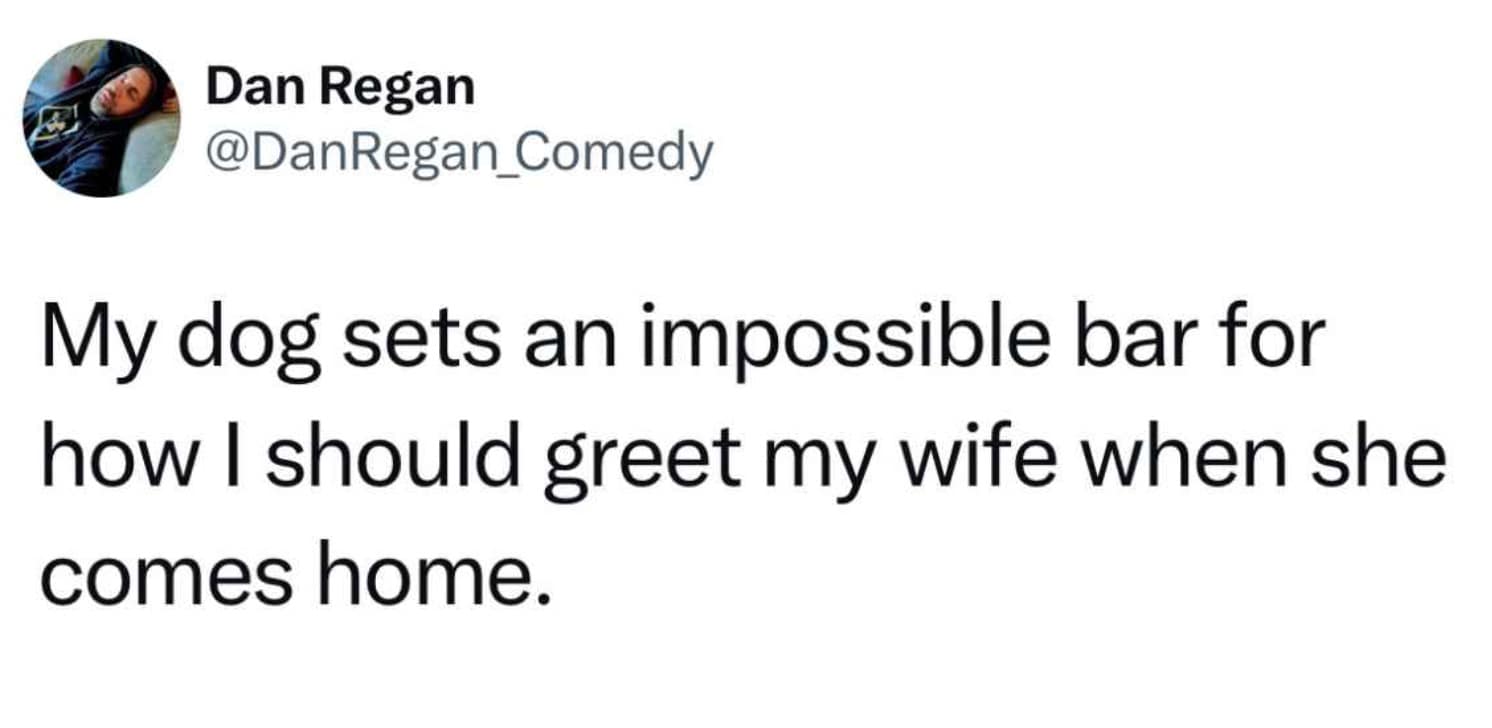 pet memes, animal memes, funny pet tweets, cute pet pictures, pet tweets, hilarious pet tweets, adorable pet pics, cute animal photos