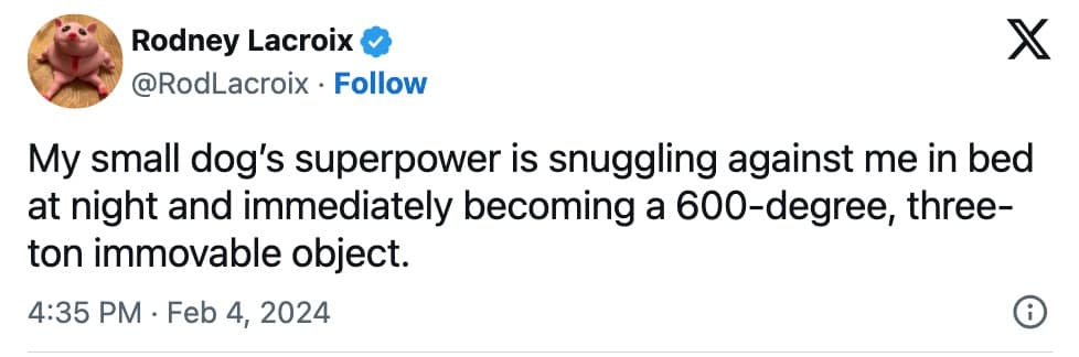 pet memes, animal memes, funny pet tweets, cute pet pictures, pet tweets, hilarious pet tweets, adorable pet pics, cute animal photos