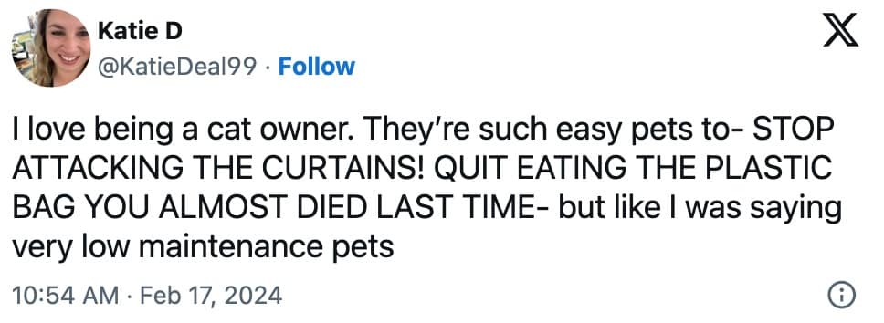 pet memes, animal memes, funny pet tweets, cute pet pictures, pet tweets, hilarious pet tweets, adorable pet pics, cute animal photos