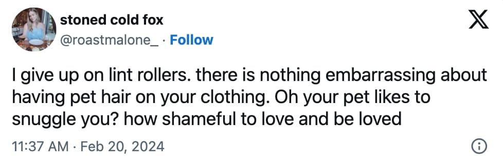 pet memes, animal memes, funny pet tweets, cute pet pictures, pet tweets, hilarious pet tweets, adorable pet pics, cute animal photos