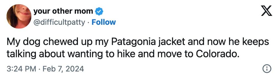 pet memes, animal memes, funny pet tweets, cute pet pictures, pet tweets, hilarious pet tweets, adorable pet pics, cute animal photos