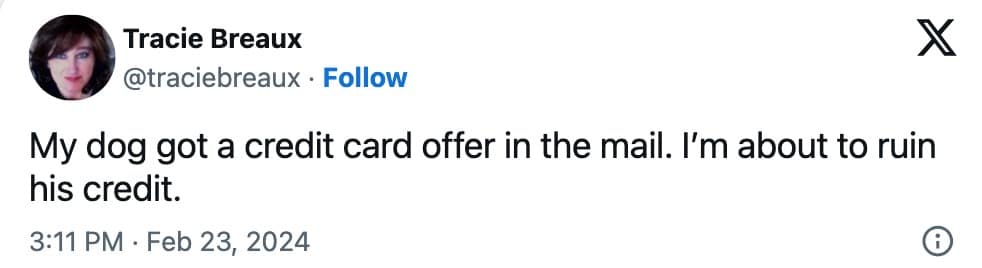 pet memes, animal memes, funny pet tweets, cute pet pictures, pet tweets, hilarious pet tweets, adorable pet pics, cute animal photos