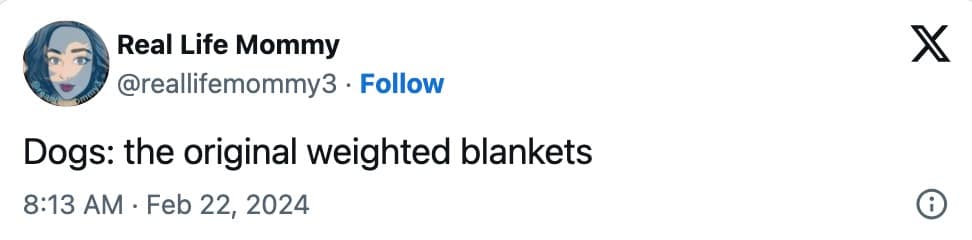 pet memes, animal memes, funny pet tweets, cute pet pictures, pet tweets, hilarious pet tweets, adorable pet pics, cute animal photos