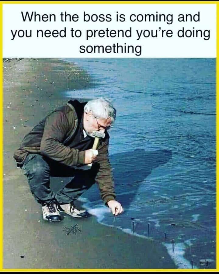 programmer memes, programming memes, Coding humor, Developer jokes, IT funny posts, Software engineer memes, Computer science laughs, Tech industry humor