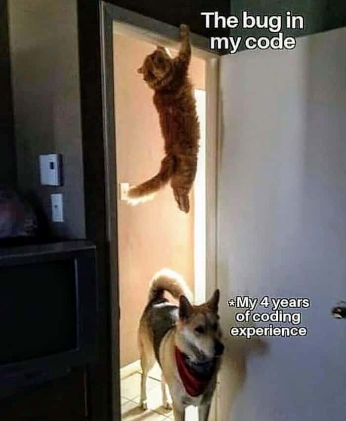 programmer memes, programming memes, Coding humor, Developer jokes, IT funny posts, Software engineer memes, Computer science laughs, Tech industry humor