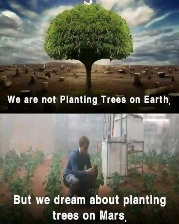 We are not Planting Trees on Earth, But we dream about planting trees on Mars.