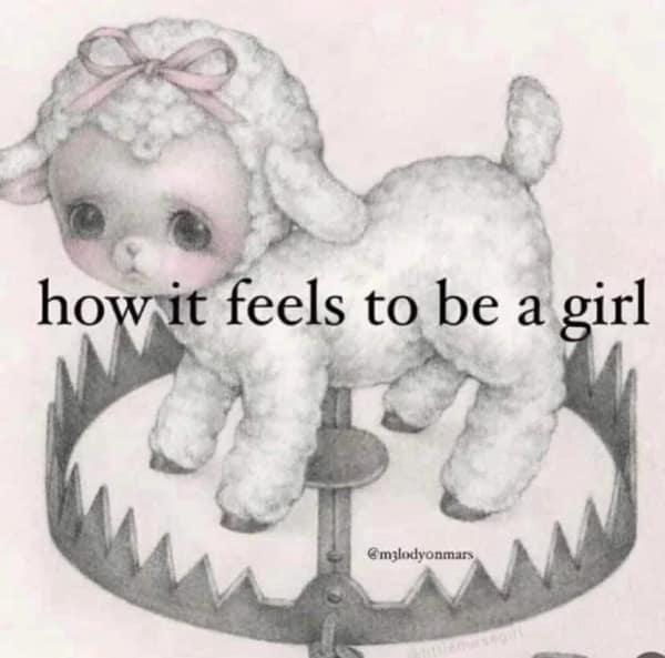 how it feels to be a girl