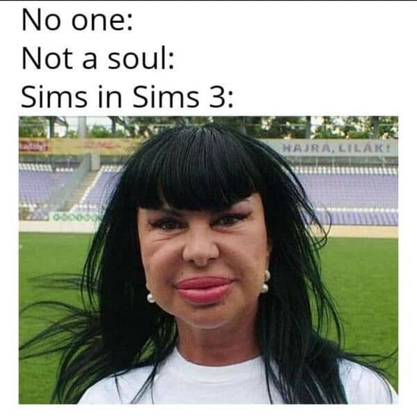 sims memes. No one: Not a soul: Sims in Sims 3: HAJRA,