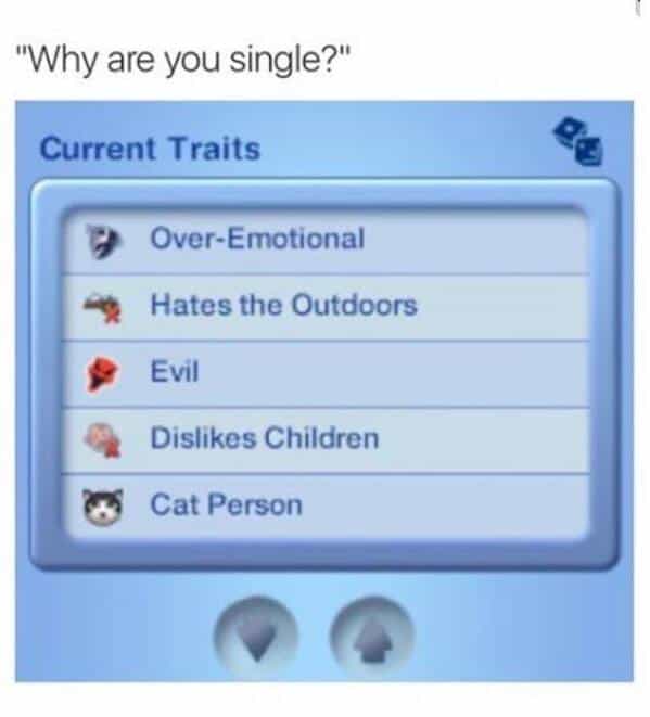 sims memes. "Why are you single?"