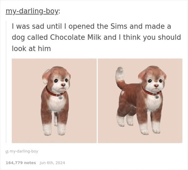 sims memes. I was sad until I opened the Sims and made a dog called Chocolate Milk and I think you should look at him