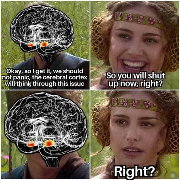smart memes. Okay, so I get it, we should not panic, the cerebral cortex will think through this issue So you will shut up now, right? Right?®