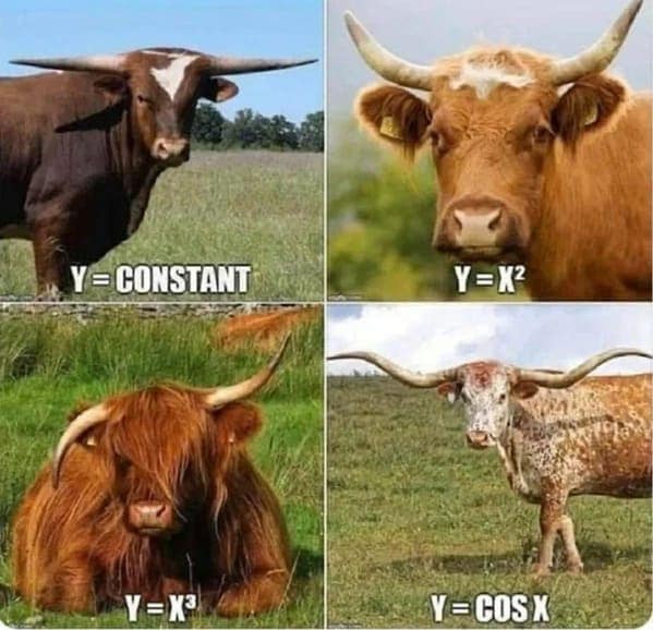 smart memes. Y = CONSTANT Y =X*
