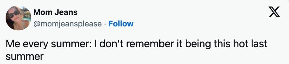 funny summer memes, seasonal memes, hot weather memes, heatwave memes, humorous summer memes, comical summer memes, season humor, seasonal jokes