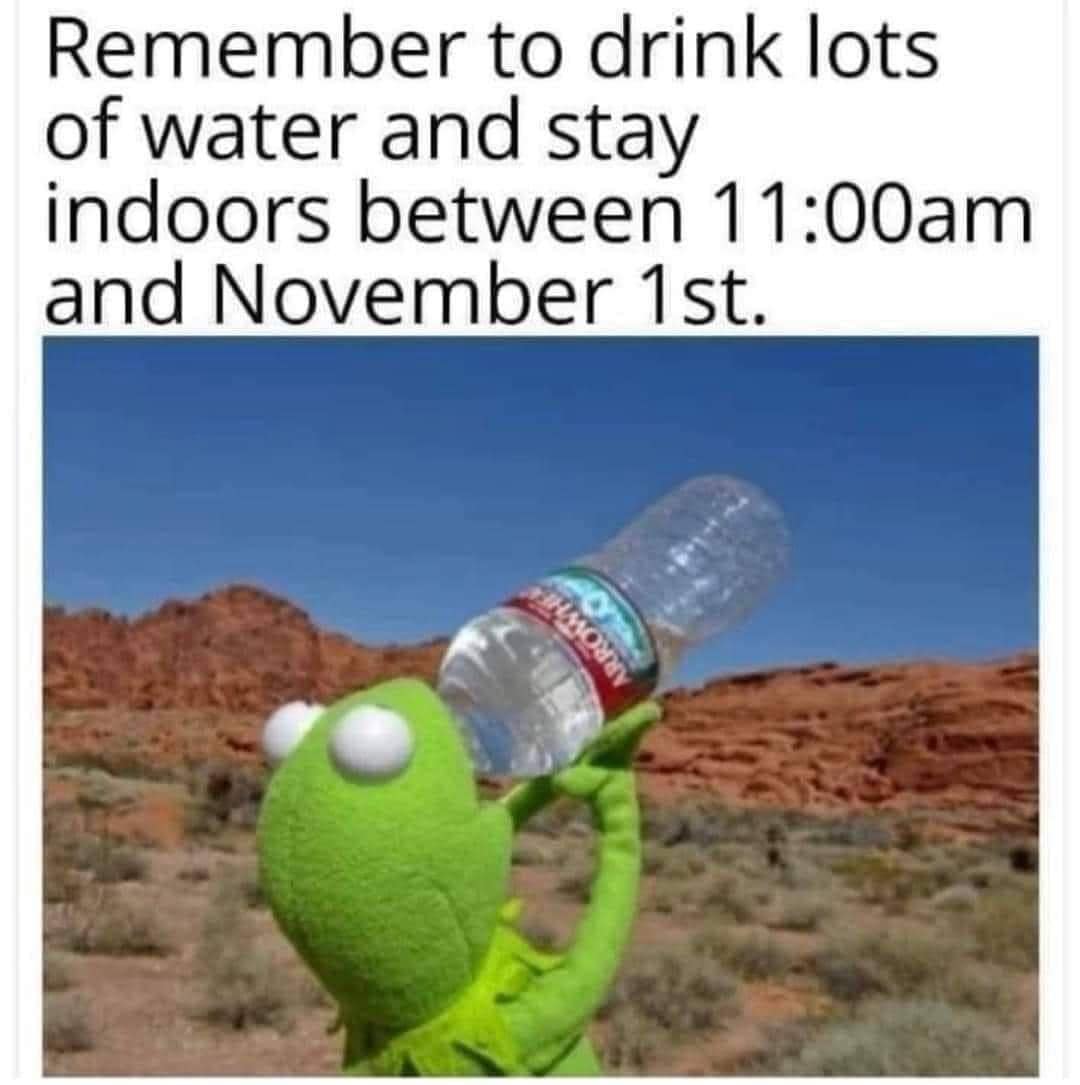 funny summer memes, seasonal memes, hot weather memes, heatwave memes, humorous summer memes, comical summer memes, season humor, seasonal jokes