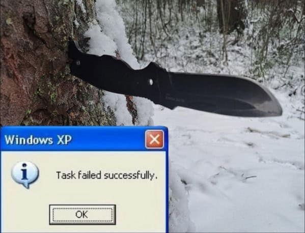 task failed successfully, Happy Accidents, Unexpected Wins, Fortunate Mishaps, Comical Blunders, Unintended Triumphs