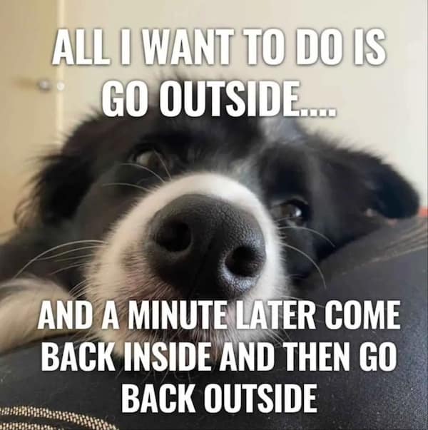 too true memes. ALL I WANT TO DO IS GO OUTSIDE.... AND A MINUTE LATER COME BACK INSIDE AND THEN GO BACK OUTSIDE