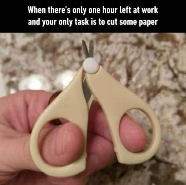 too true memes. When there's only one hour left at work and your only task is to cut some paper