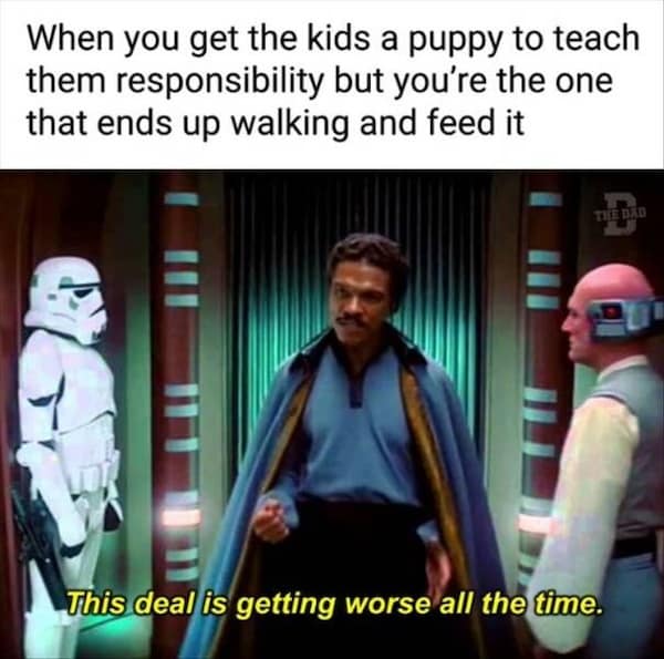 too true memes. When you get the kids a puppy to teach them responsibility but you're the one that ends up walking and feed it This deal is getting worse all the time.