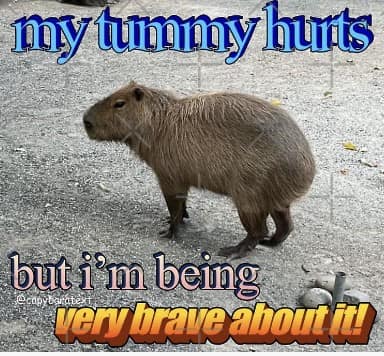 tummy ache memes, stomach pain jokes: bellyache jokes, gut-wrenching jokes