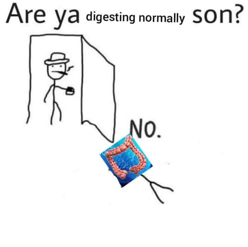 tummy ache memes, stomach pain jokes: bellyache jokes, gut-wrenching jokes