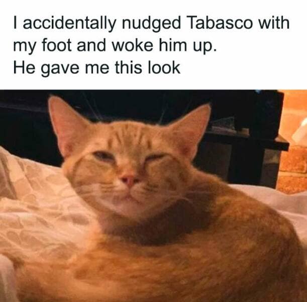 wholesome memes, heartwarming memes, uplifting memes, Feel-good memes, Positive memes, kindness memes