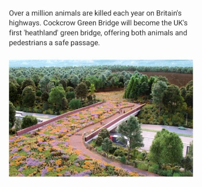 wholesome memes, heartwarming memes, uplifting memes, feel-good memes, inspirational memes, motivational memes