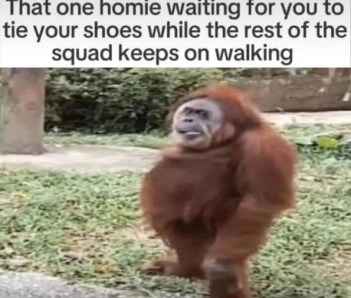 wholesome memes, heartwarming memes, uplifting memes, feel-good memes, inspirational memes, motivational memes