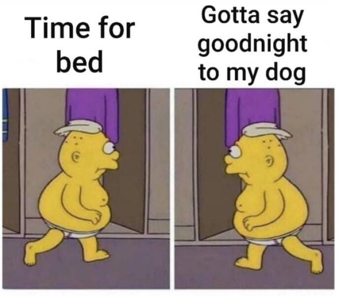 wholesome memes, heartwarming memes, uplifting memes, positive memes, feel-good memes, motivational memes, inspirational memes, happy memes, cheerful memes, joyful memes