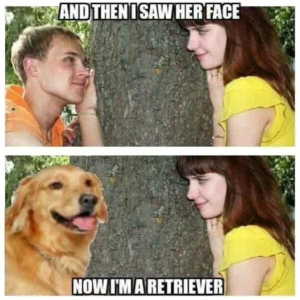 wholesome memes, heartwarming memes, uplifting memes, feel-good memes, inspirational memes, motivational memes