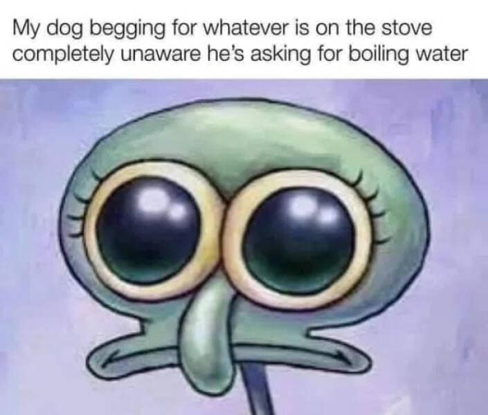 wholesome memes, heartwarming memes, uplifting memes, feel-good memes, inspirational memes, motivational memes