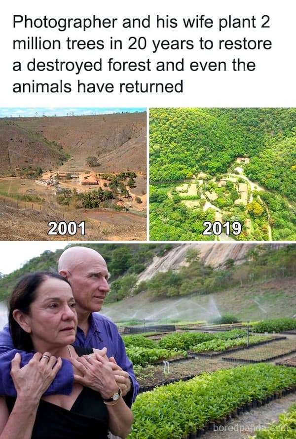 wholesome memes, heartwarming memes, uplifting memes, Feel-good memes, Positive memes, kindness memes