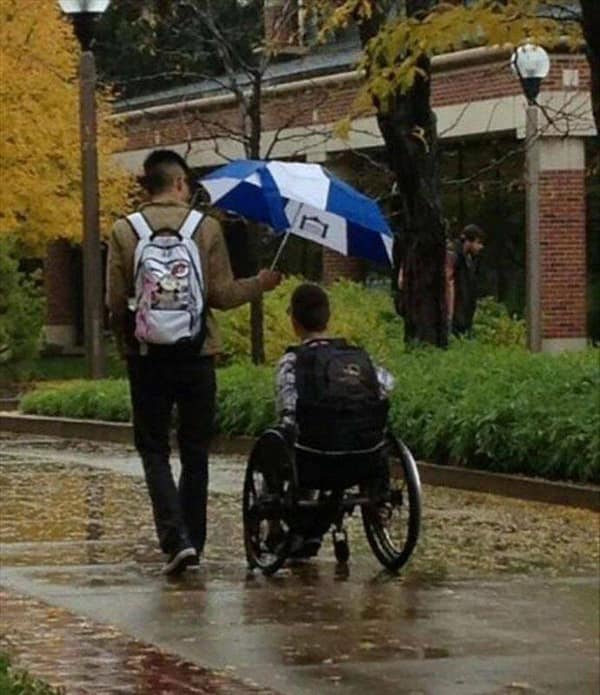 wholesome memes, heartwarming memes, uplifting memes, Feel-good memes, Positive memes, kindness memes