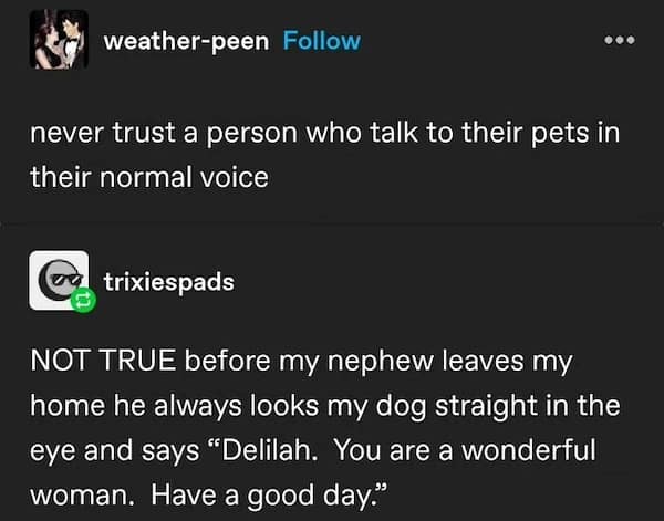 wholesome memes, heartwarming memes, uplifting memes, Feel-good memes, Positive memes, kindness memes