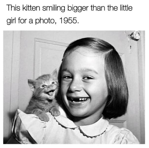 wholesome memes, heartwarming memes, uplifting memes, positive memes, feel-good memes, motivational memes, inspirational memes, happy memes, cheerful memes, joyful memes