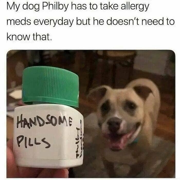 wholesome memes, heartwarming memes, uplifting memes, Feel-good memes, Positive memes, kindness memes