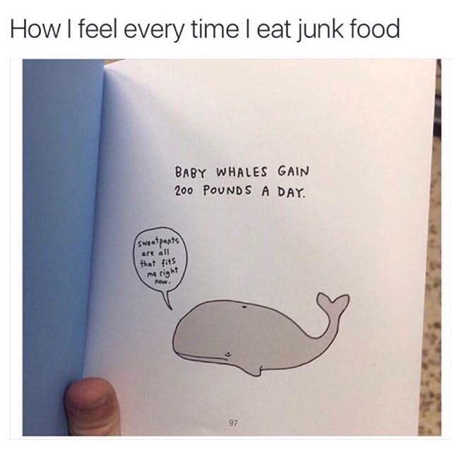 fitness humor, gym jokes, exercise laughter, exercise memes, fitness funnies, workout humor