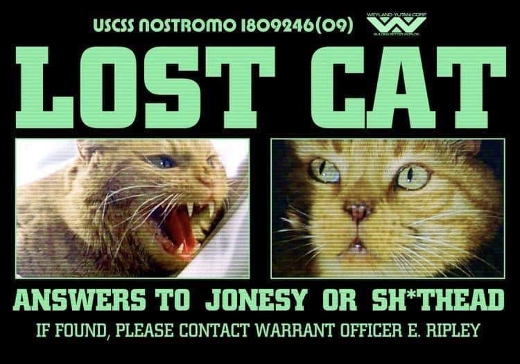 xenomorph memes. LOST CAT ANSWERS TO JONESY OR SH*THEAD IF FOUND, PLEASE CONTACT WARRANT OFFICER E. RIPLEY
