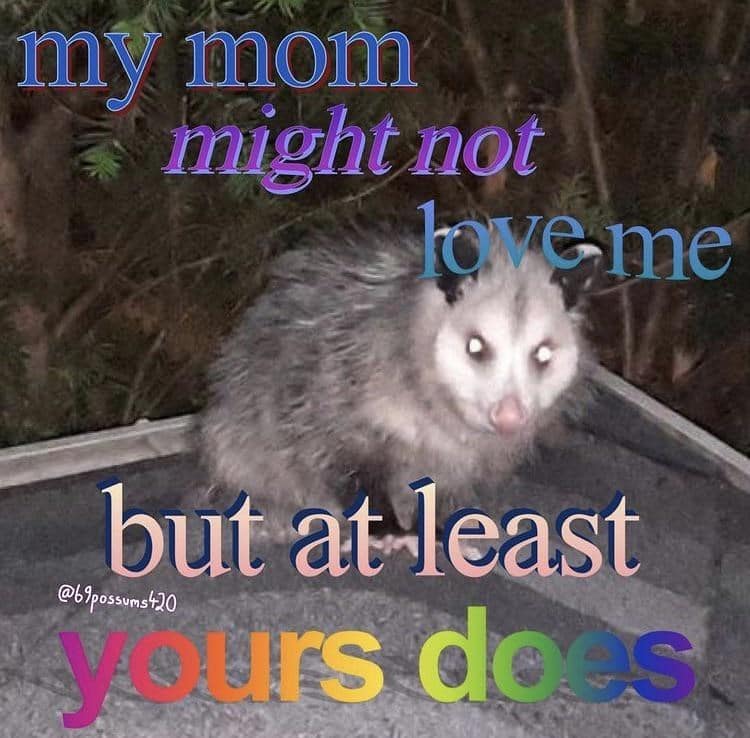your mom jokes. my mom might not love me but at least @69possums 420 yours does