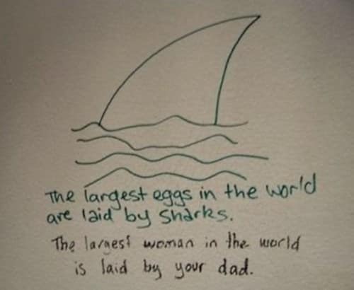 your mom jokes. The largest eggs in the world are laid by sharks. The larest woman in the world is laid by your dad.