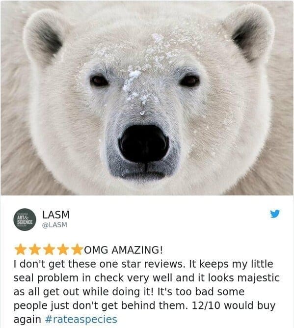 zoo animal reviews.