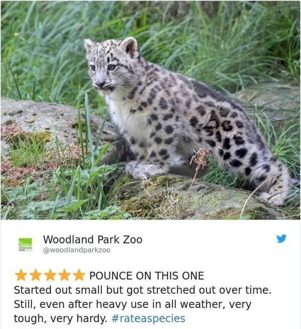 zoo animal reviews.